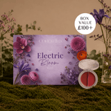 Cohorted Abo Beauty Box